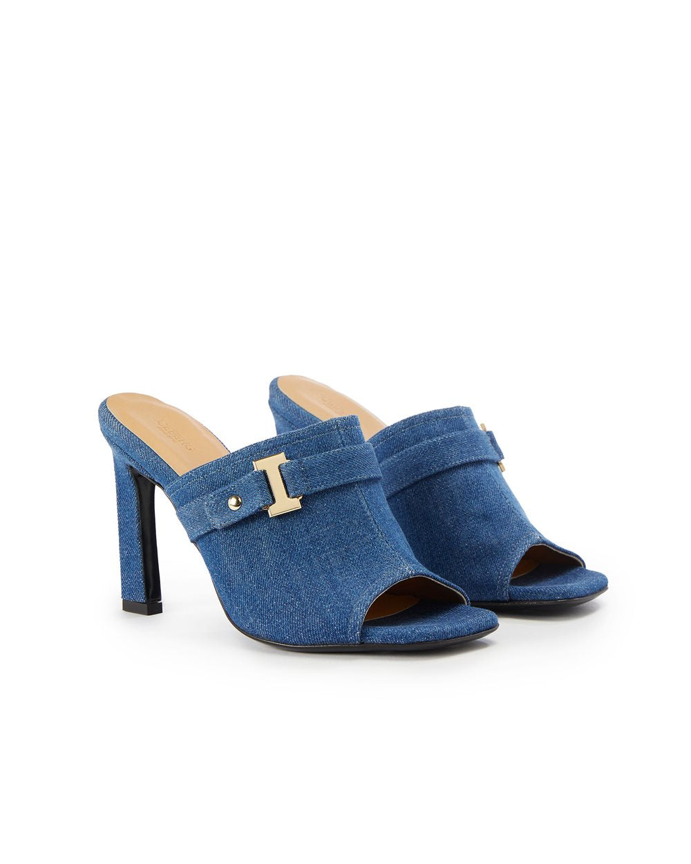 Mule Com Logo - Iceberg