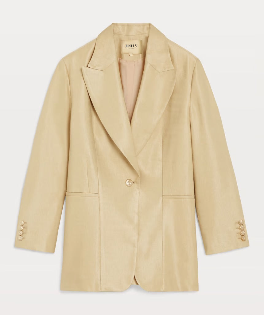 DONNA BLAZER-Josh V