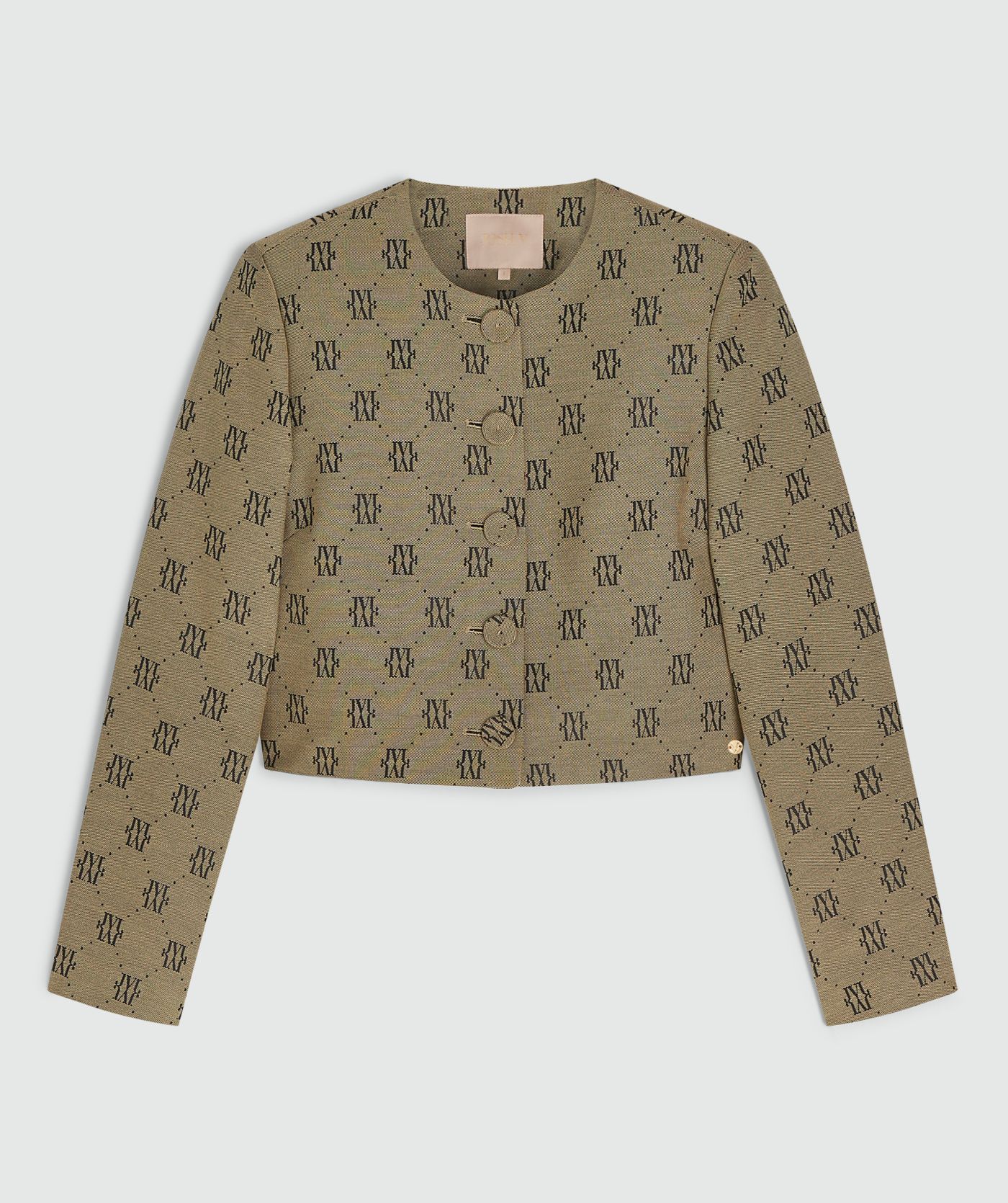 Blazer Remi - Josh V